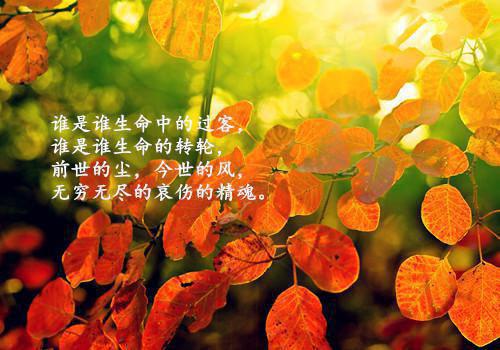 ллȫĶ޵_(лл<a href=/t/xiaoshuo/ target=_blank class=infotextkey>С˵</a>Ķ)½бл